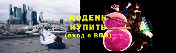 прущие грибы Арсеньев