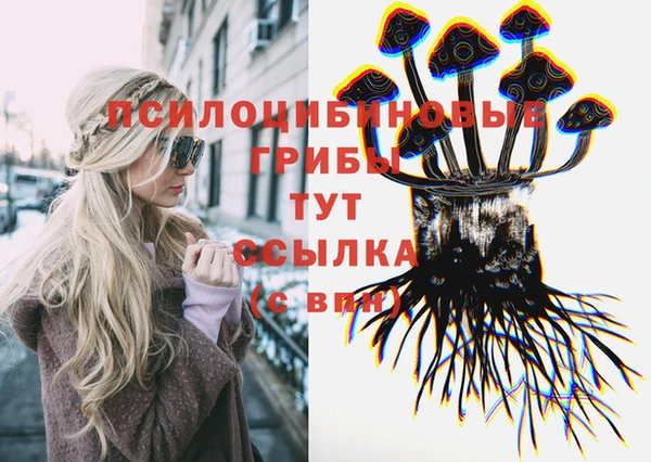 прущие грибы Арсеньев