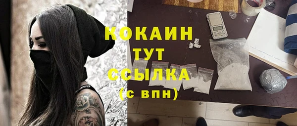 прущие грибы Арсеньев