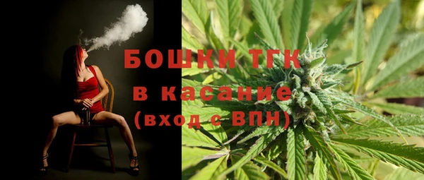 прущие грибы Арсеньев