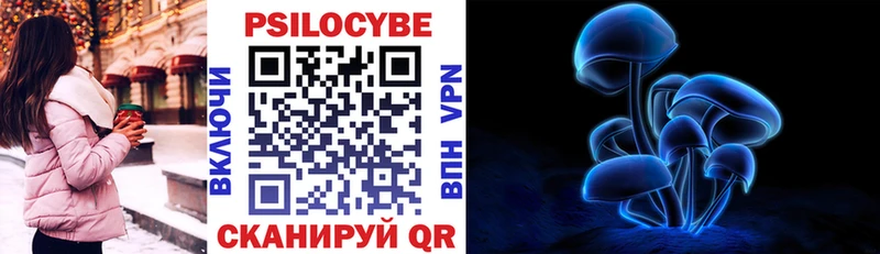 Псилоцибиновые грибы Cubensis  как найти закладки  Армянск 